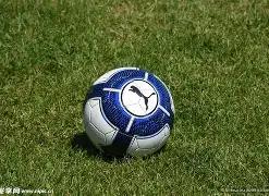 广东篮球在,全运会收获,迈入,乐竞体育官网,乐竞体育平台,乐竞体育链接,乐竞体育官方