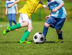 支付漏洞,无需付费即,可购物,乐竞体育官网,乐竞体育平台,乐竞体育链接,乐竞体育官方