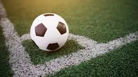 乐竞体育 产品 132550 n2b