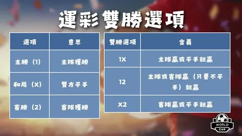 迎新岁，2026启航！深度剖析英冠联赛，信心满满攻略全解析！